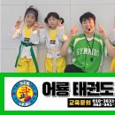 어룡태권도 이미지