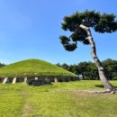 신문왕릉앞금어당 | 경주 유적지 신라왕릉 신문왕릉 한적한 여행지
