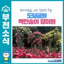 송미장 네이버블로그