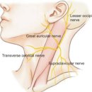 동행한의원 이미지