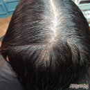 헤나 헤어샾 - 영광군 | 헤나, 부작용 없이 두피관리 받은 솔직 후기◀