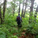 야로초등학교 이미지