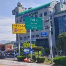 구례군(구례교) 네이버블로그