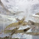 J축산도매센타 네이버블로그