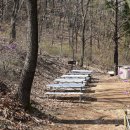 석화꽃무지풀무지유치원 이미지