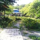 아침햇살염소농장 이미지