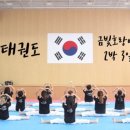 금빛 호랑이 태권도 이미지