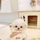 애현1길 이미지