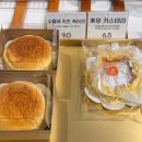 소유 | 남양주 카페소유 심야카페 방문기🔥 솔직 후기