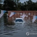 홍수농장 네이버블로그