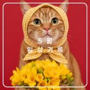 우리농장닭집 | [일상기록]5월 돈은 없는데..왜케 행사가 많을까? 궁핍해진 한달🩹🩹🩹