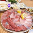 홍대 대방어맛집 바다회사랑 2호점 평일 오픈런 후기
