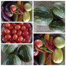 동근농장 이미지