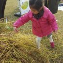 유나농장 이미지