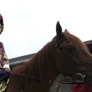 김종석농장 이미지