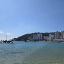 송도해수욕장 이미지