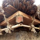 승마체험코스 이미지