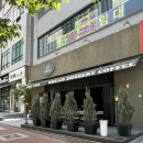 바빈스커피전북혁신 | [전주 카페] GT커피 전주혁신점, 힙한 감성 가득한 분위기 청량한 플레인요거트스무디 내돈내산 후기