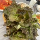 목포옻닭 이미지