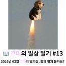 드림골프스토리 | 꼬미의 일상 일기 #13