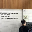 분당 미금역 | 혼밥 추천 김밥 맛집 모니김밥본점
