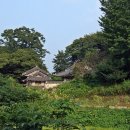 축령산숲마을