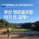 동래베네스트골프클럽 | 부산 골프장 추천 동래베네스트 컨트리클럽 라운딩후기