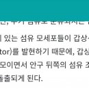 갑상선 눈까리돌출=스테로이드 +아데노신=칼슘 창원 마산 부산 서울 꼬사칭들보소 ㅋ 수면주입으로 또주장할거있냐 이미지