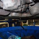 리얼엠(REAL M) 이미지