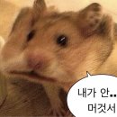 은지슈퍼 이미지