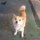 법동카센타 이미지