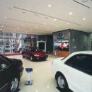 자동차 프라자 이미지