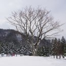 하늘목장 이미지