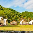 ⛺🌸[3월 추천 여행] 포근한 봄바람과 함께 떠나는 글램핑