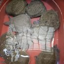 민물건강원 이미지