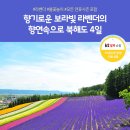 특급쇼핑