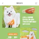 해피 펫 미 네이버블로그