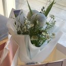 [임신일기] 임신 19주, 20주, 21주차 일상 / 태아보험, 정밀초음파, 김건우 산부인과 입체초음파 서비스...