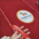 2024 메가주 일산 고양이 집사도 가봤다! 메가주 후기