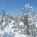 태백산 전경 이미지