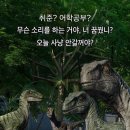 13.아농연마트사거리 B | 새들도 아가양도 남들도 자는 시간에