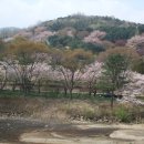 호암미술관 이미지