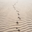 영상자격과정 이미지