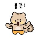 바디오 피트니스 이미지