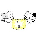 정아나고 이미지