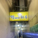 [부산] 남포 현지인이 사랑하는 양꼬치 맛집 &#34;양과의하루 숯불양꼬치&#34; 본점 내돈내산