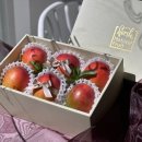 싱싱프루츠 이미지