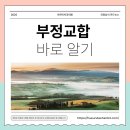 이바르게치과교정과치과의원 | 부정교합 교정 - 아르미치과의원