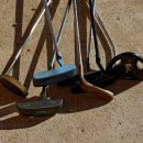 신선골프클럽 이미지