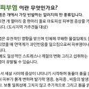 신세계동물의료센터 이미지